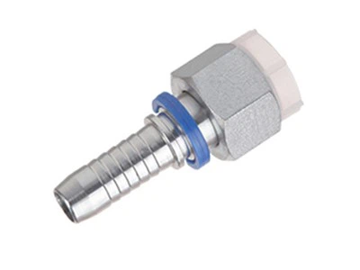 Ffitiad Merched Metrig